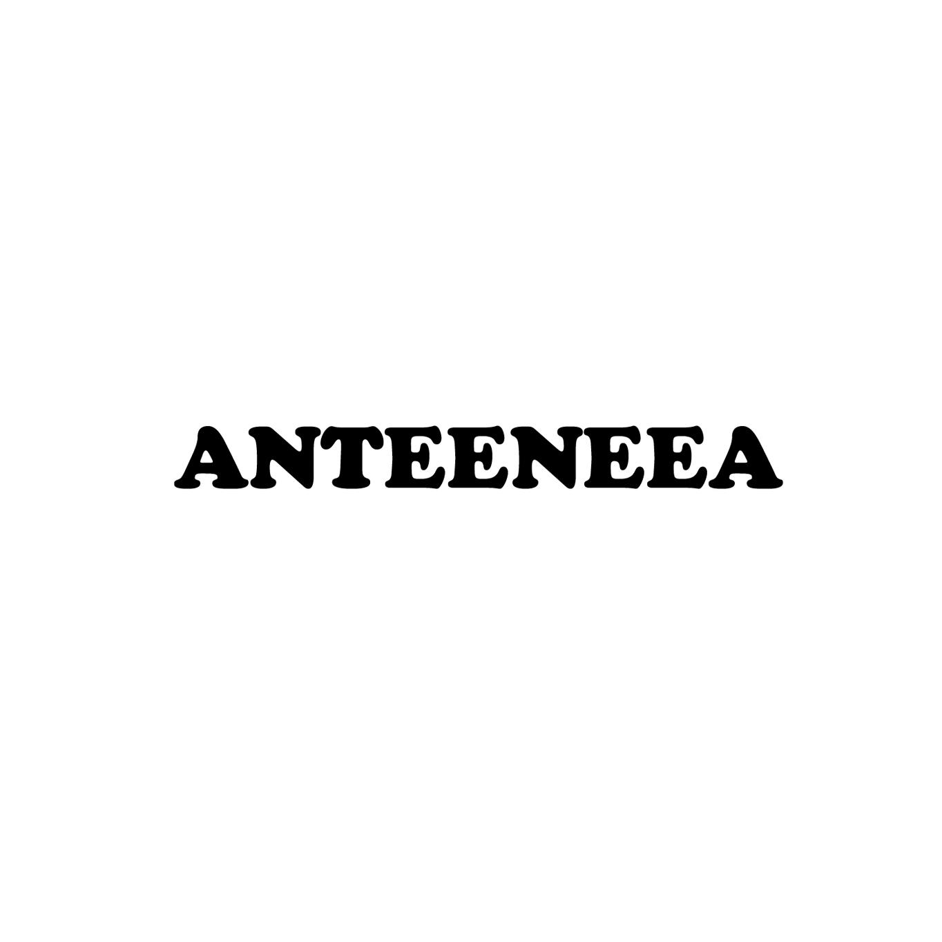 ANTEENEEA