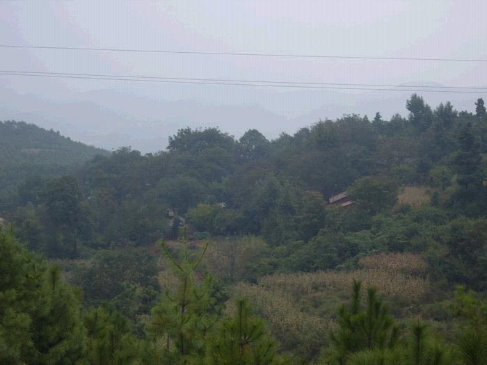 半坡村(雲南省宣威市熱水鎮半坡村)