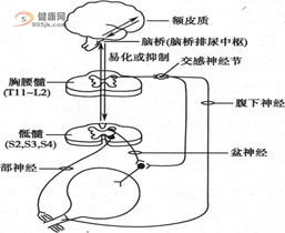 電磁效應復癱療法