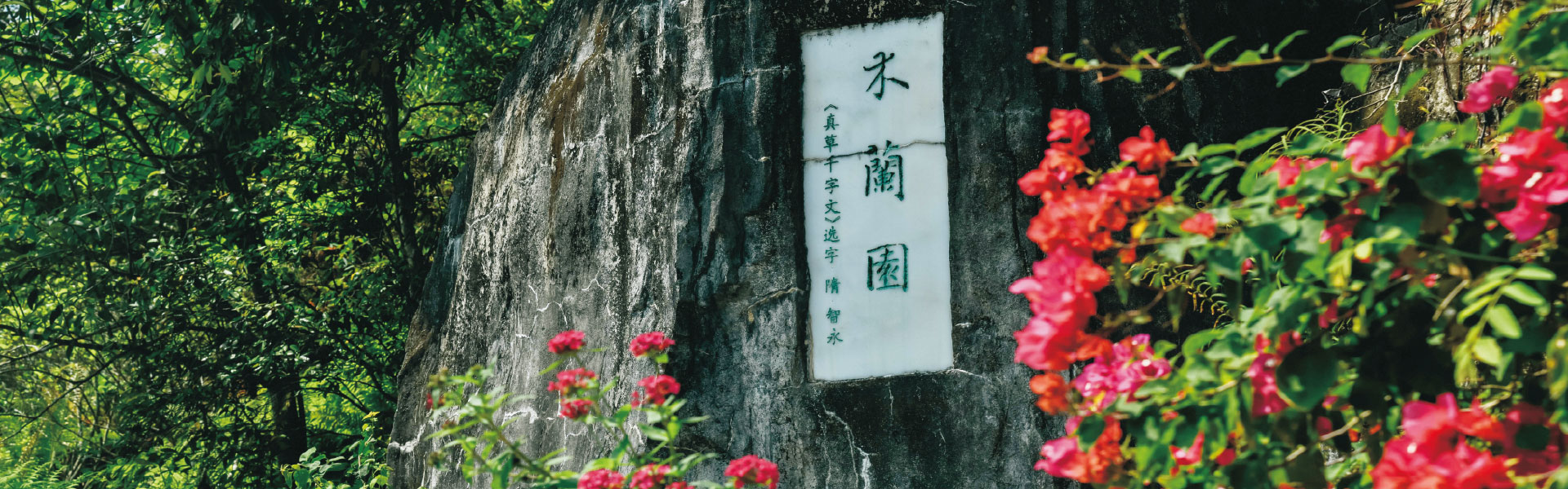 深圳市中國科學院仙湖植物園