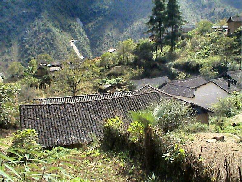 四棵樹自然村(雲南省保山市隆陽區瓦窯鎮四棵樹自然村)