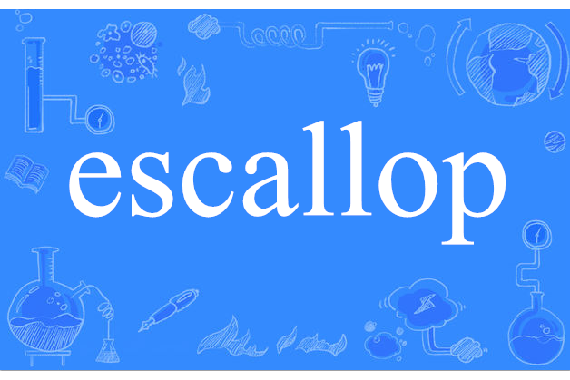 escallop