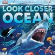 Look Closer Ocean