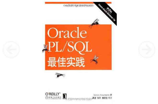 Oracle PL/SQL 最佳實踐