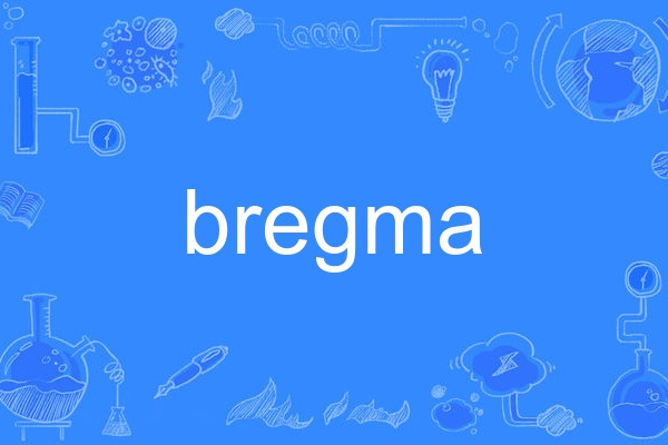 bregma