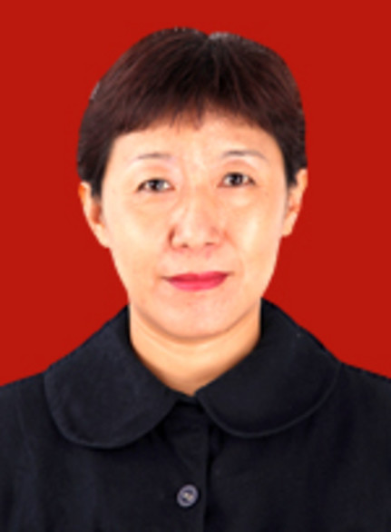 李麗君(天津市河西區人民政府副區長)