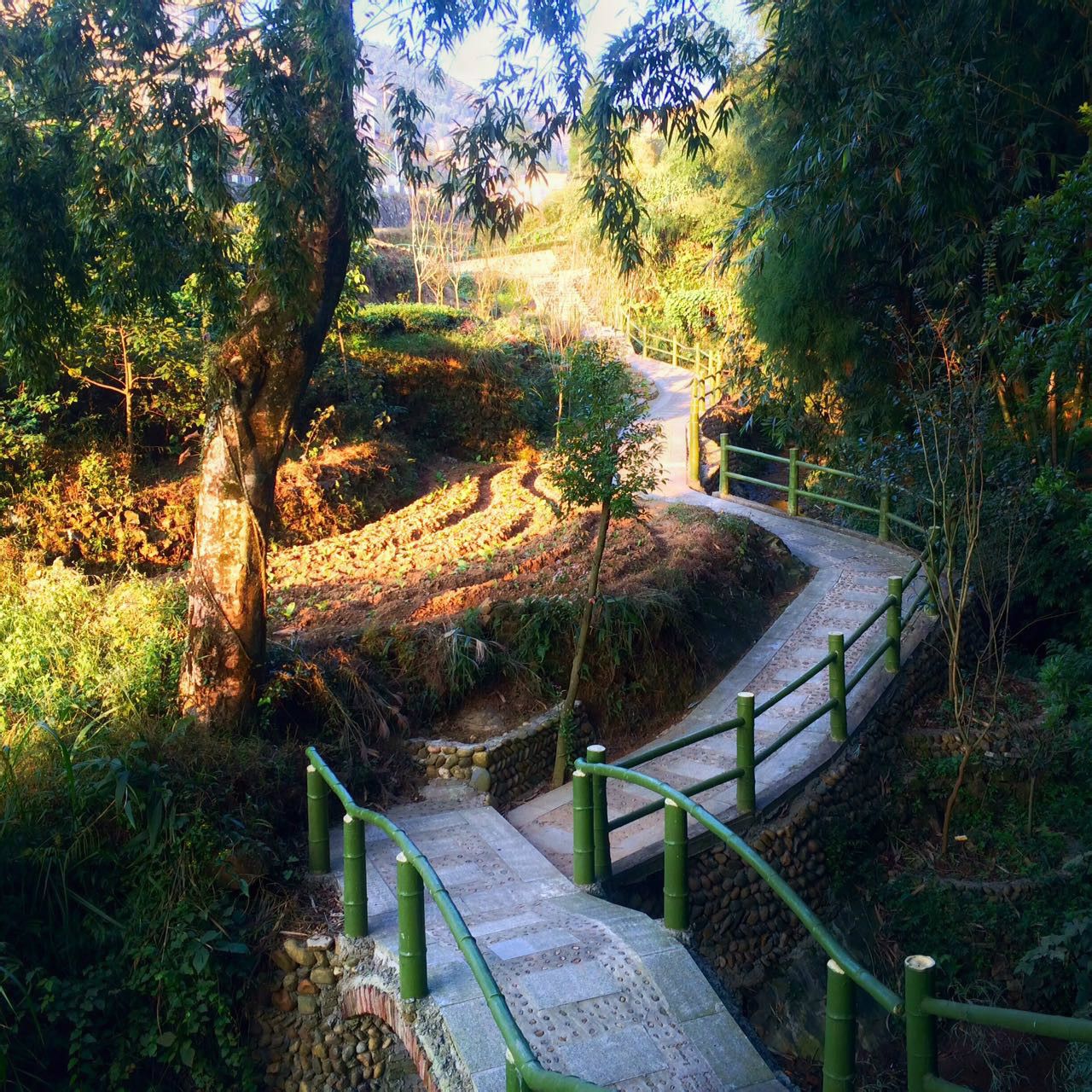 中心溪疊水步道