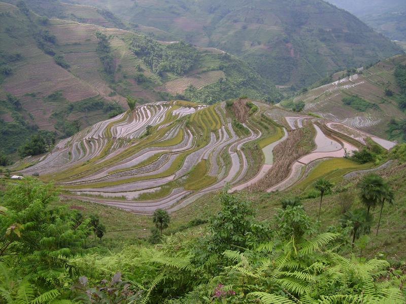 上子雄村