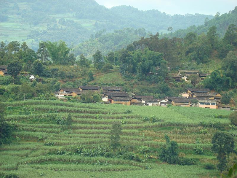 野毛寨自然村