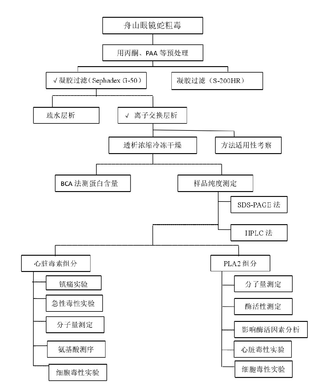 眼鏡蛇毒磷脂酶分離純化示意圖