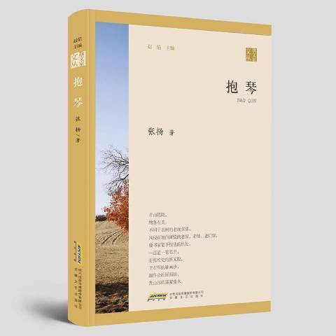 抱琴(2021年安徽文藝出版社出版的圖書)