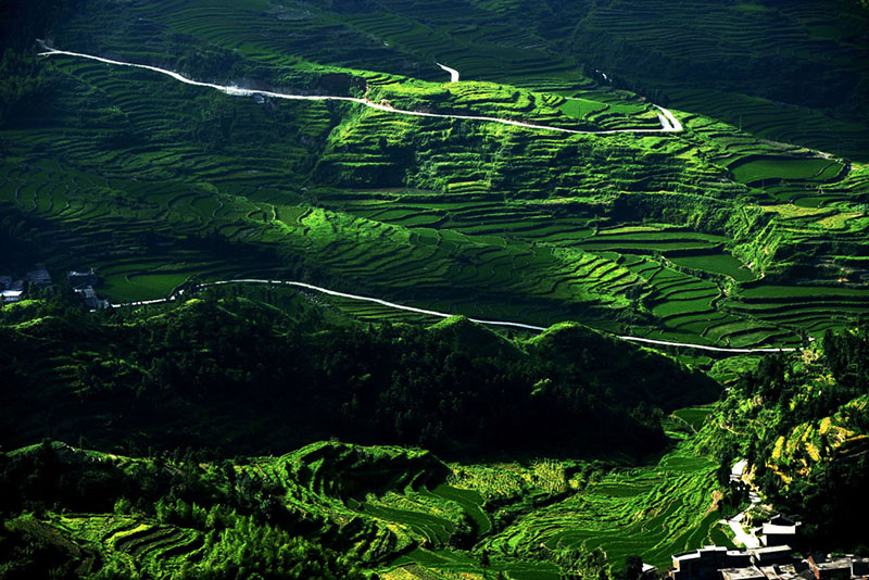 天堂山梯田