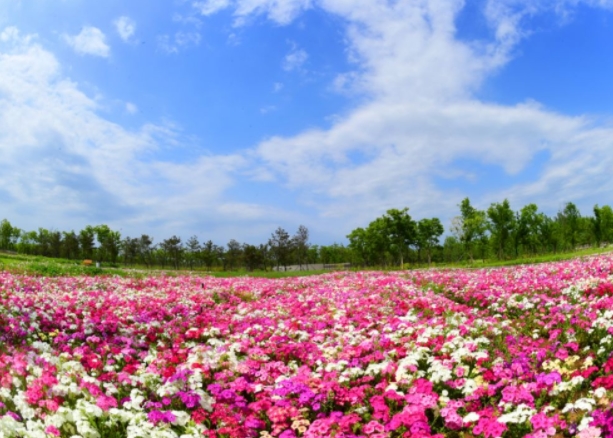 江蘇三台山國家森林公園