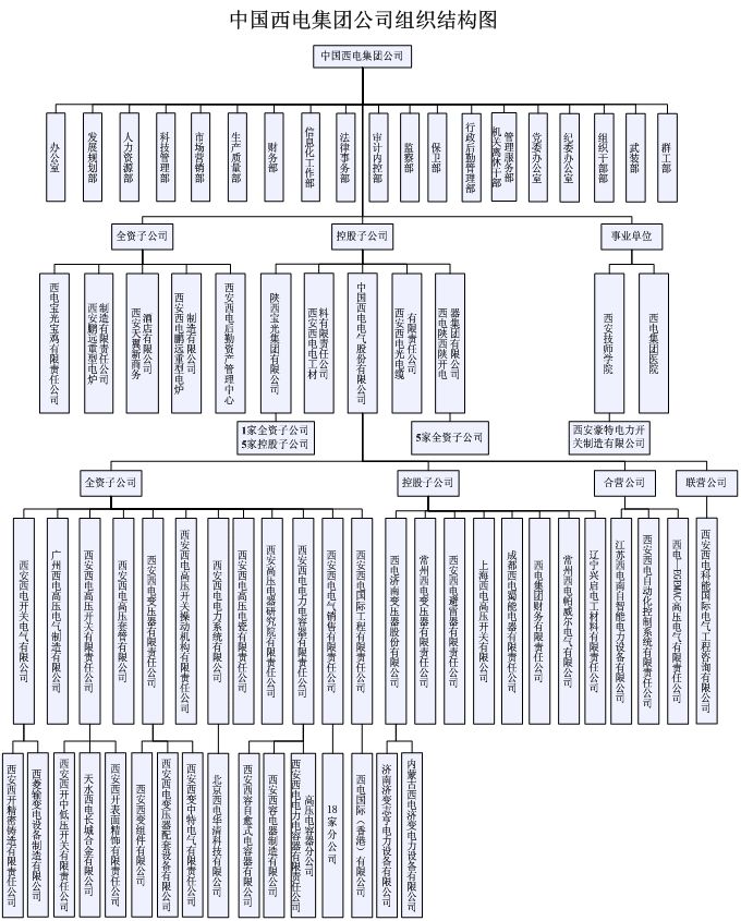 中國西電集團有限公司(中國西電集團)