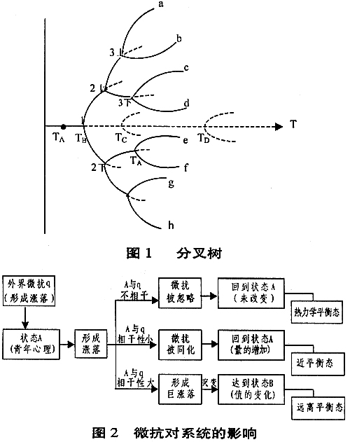 熵·耗散結構套用系列