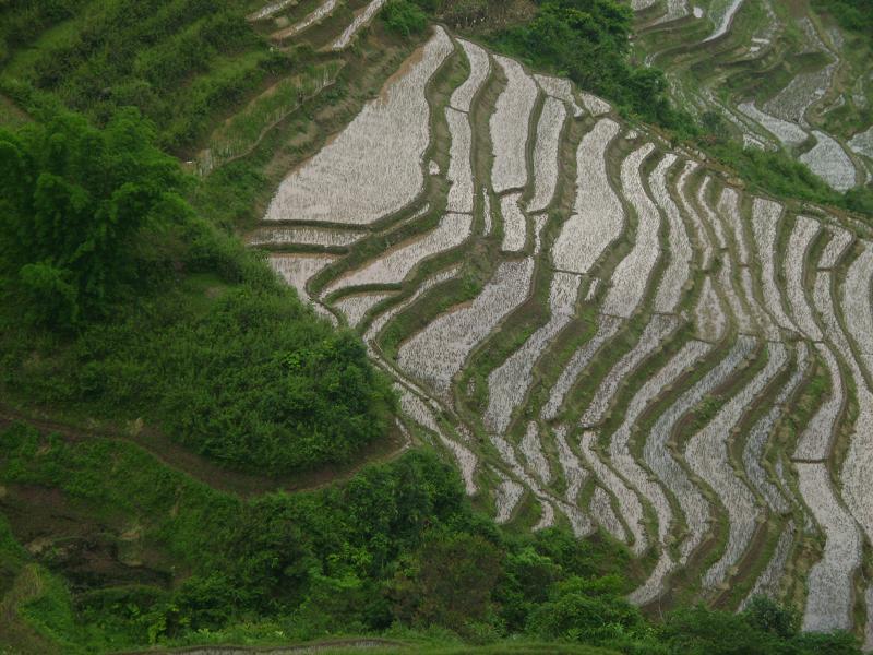 者東村