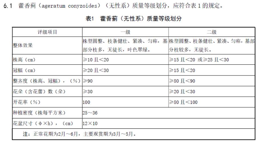 主要花壇花卉質量等級