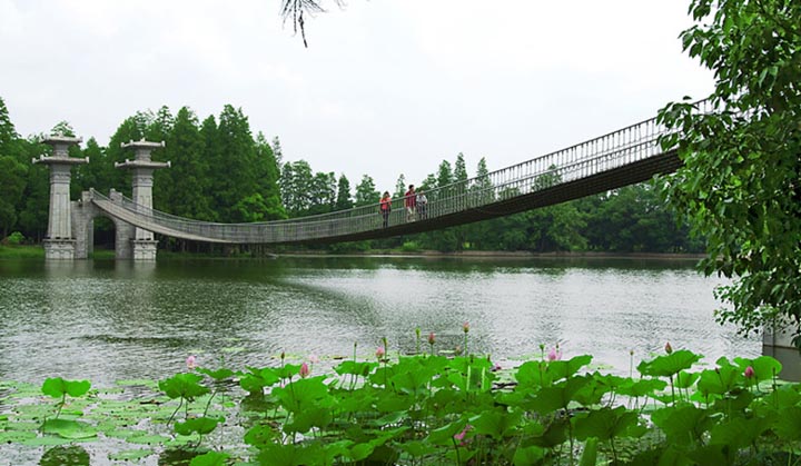 雁洲索橋