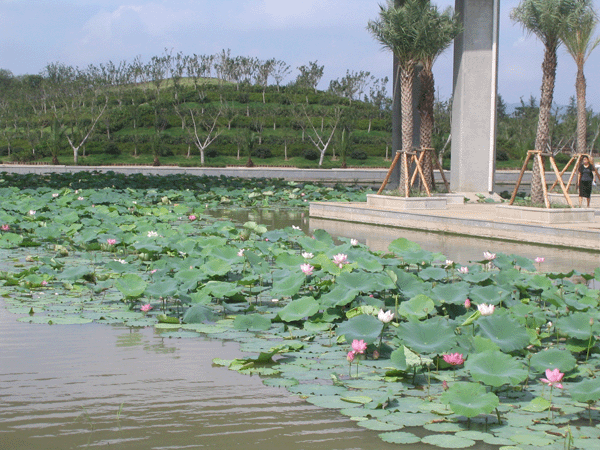 蘇州白洋灣生態公園