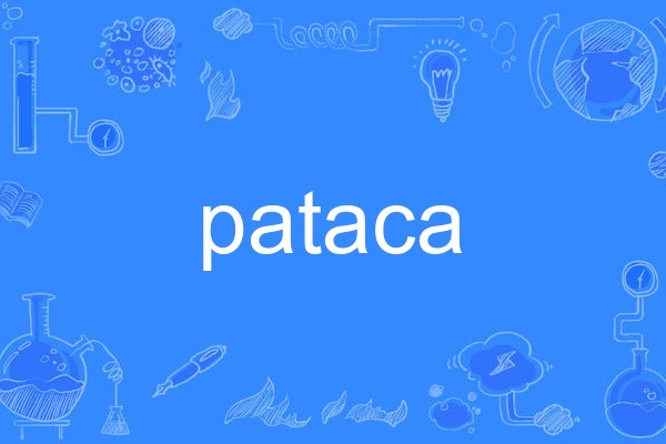 pataca