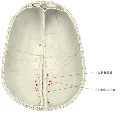 顆粒小凹