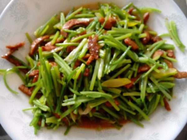 炒肉絲香菜