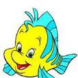 flounder