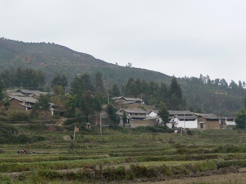 西登村(雲南省大理州鶴慶縣辛屯鎮三合村委會西登村)