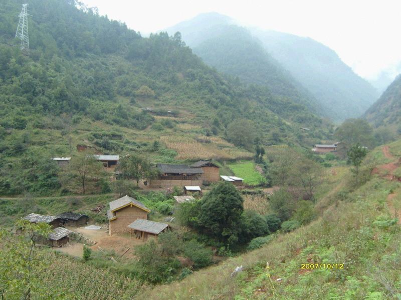 魯禮型二組村