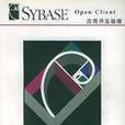 Sybase Open Client 套用開發指南