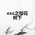 exo之櫻花樹下