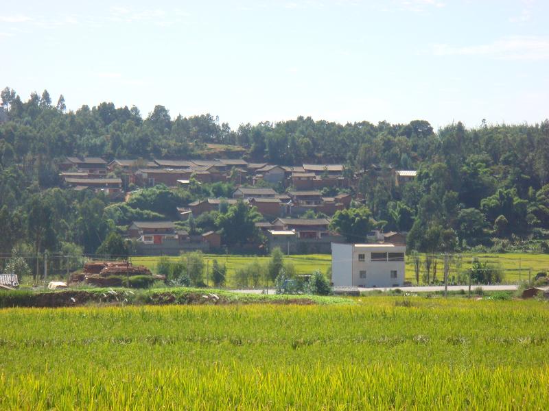 木竹庵村