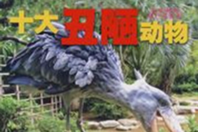 十大醜陋動物