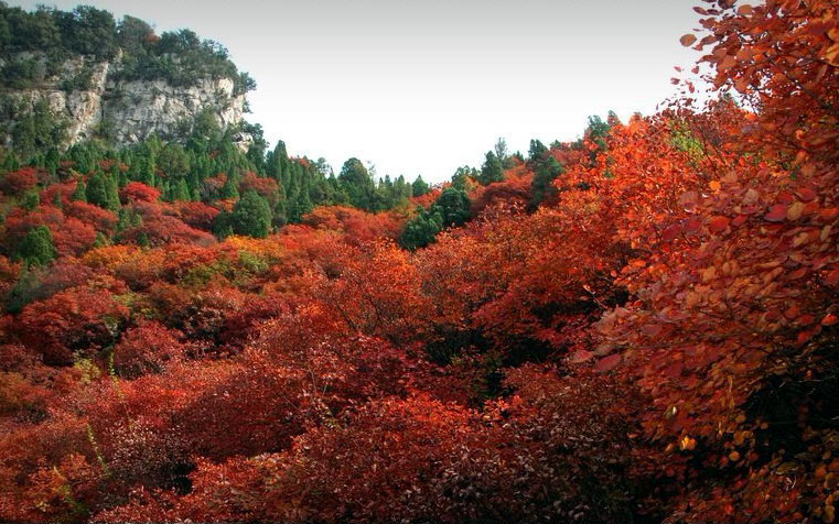 鳳凰山