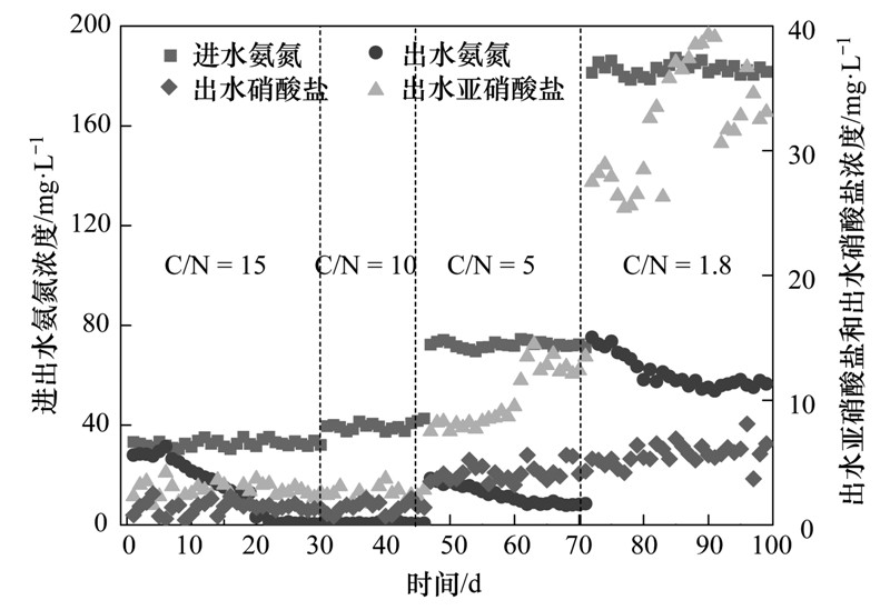 碳氮比