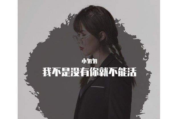 我不是沒有你就不能活(小匆匆演唱的歌曲)