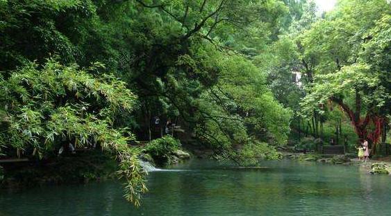 浙江雙龍洞國家森林公園