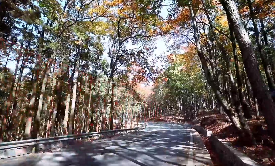 湖北巴東國家森林公園