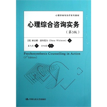 心理綜合諮詢實務(心理諮詢與治療系列教材：心理綜合諮詢實務)