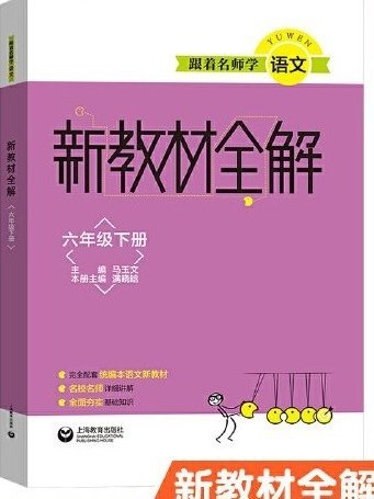 新教材全解·六年級下冊