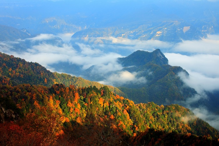 四川米倉山國家森林公園