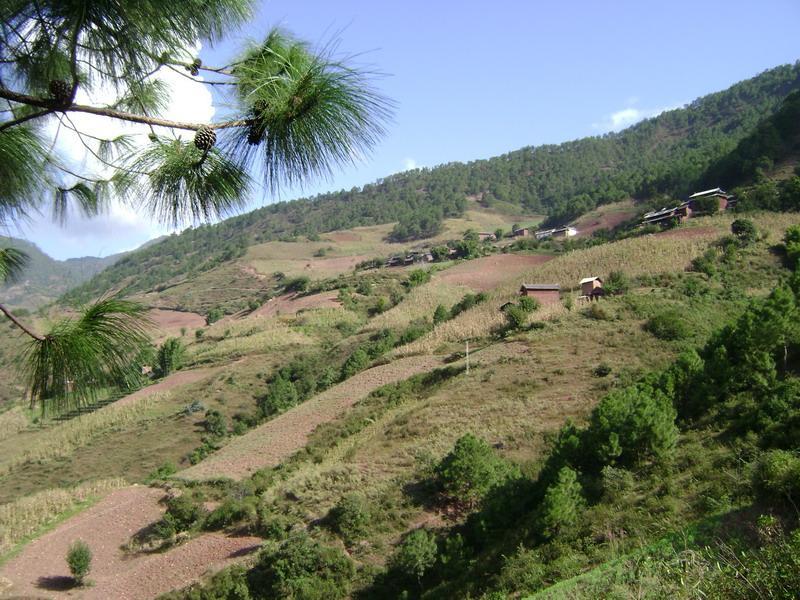 小石房村(五頂山鄉下轄村)