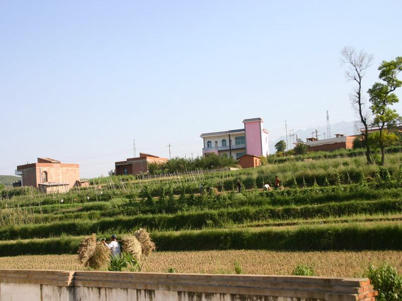 小石岩村(雲南省尋甸縣功山鎮下轄村)