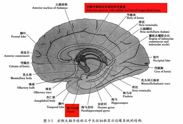 灰色被蓋