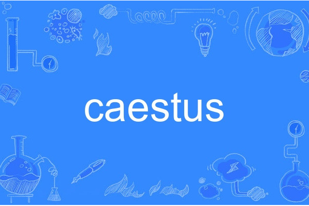 caestus