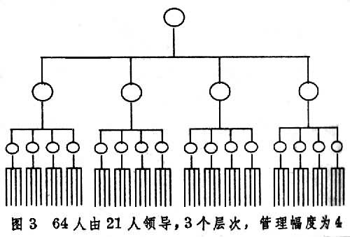 管理幅度與層次