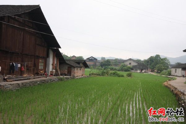 江東鄉(湖南省衡山縣江東鄉)