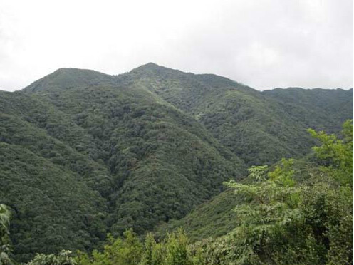 文山薄竹山景區