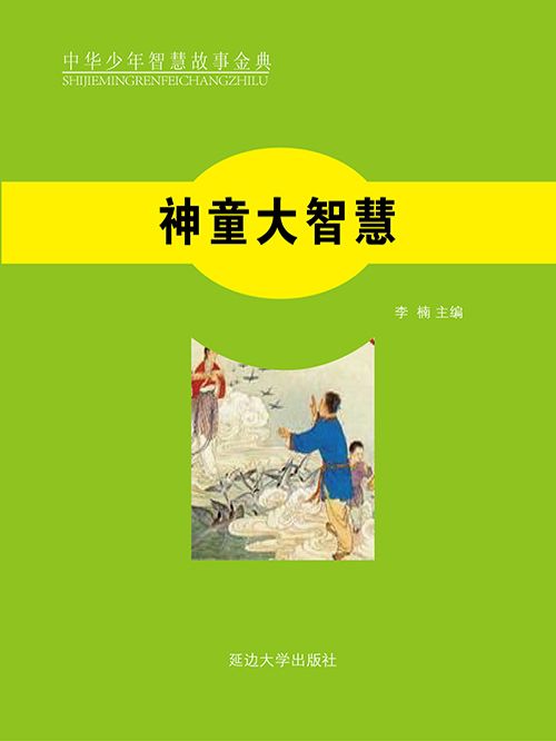 神童大智慧(李楠主編創作的網路小說)