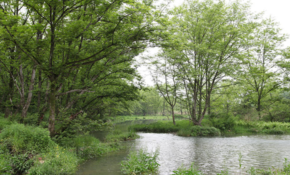 浙江麗水九龍國家濕地公園